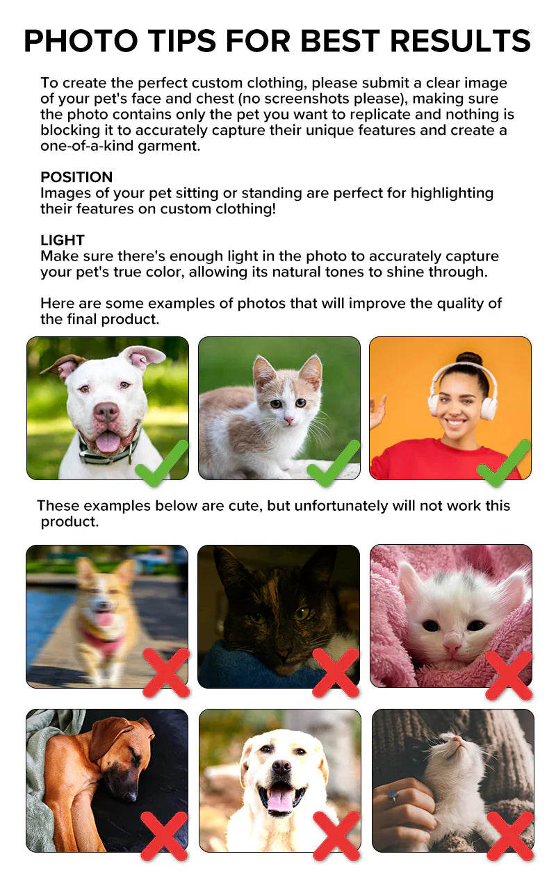 Photo tips for best custom Frenchie portrait result